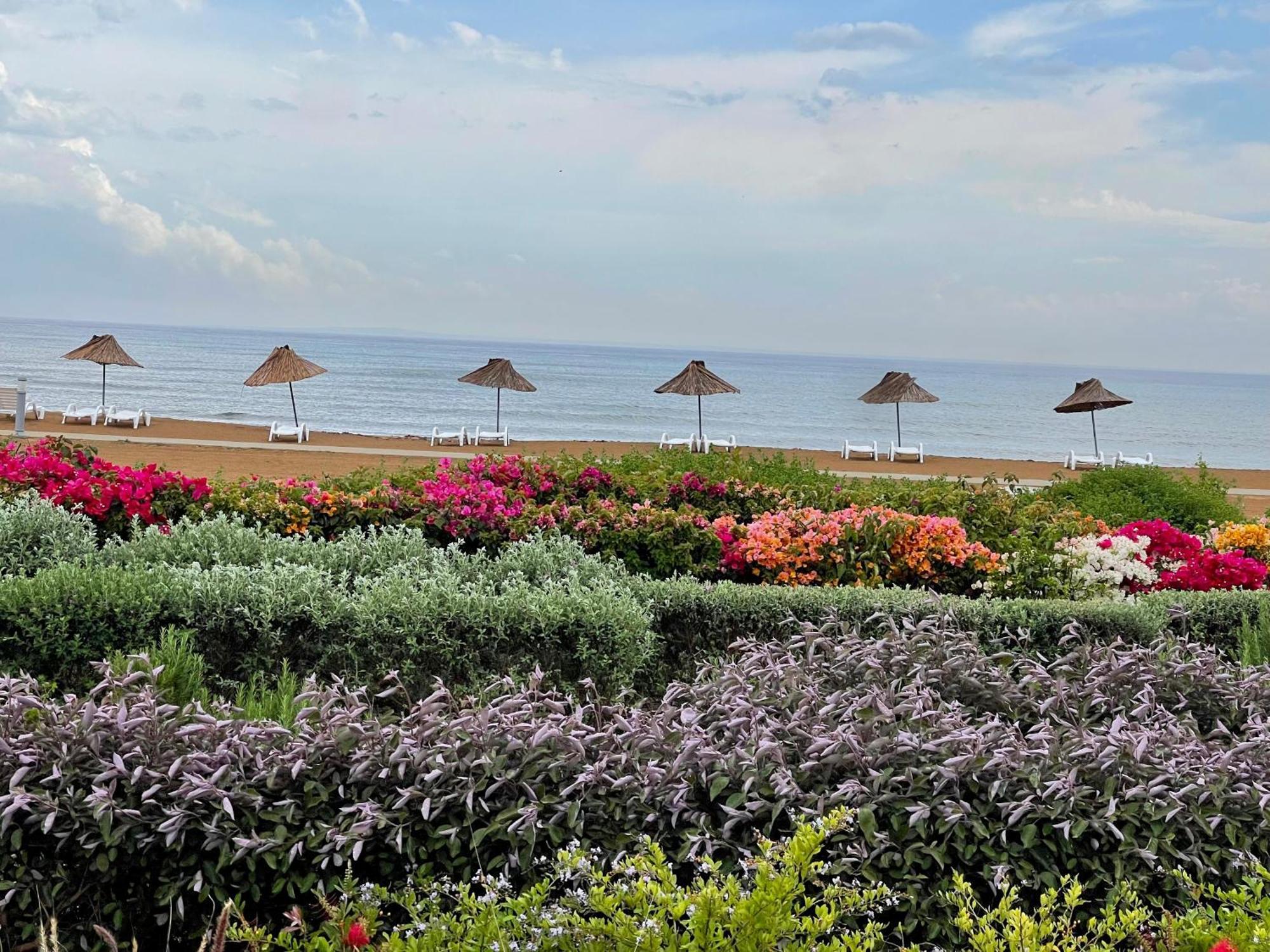 Sweetness Apartment By The Sea Vokolidha ภายนอก รูปภาพ